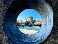 Blarney Castle – Kiss the Stone, Embrace the Legend