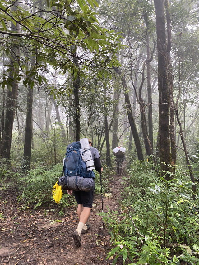 🌧️ เที่ยวหน้าฝน…พิชิตสันหนอกวัว ⛰️