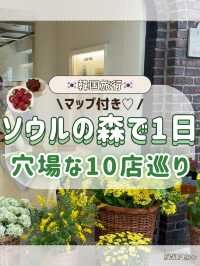 🇰🇷🌳ソウルの森で1日！穴場巡り編✨