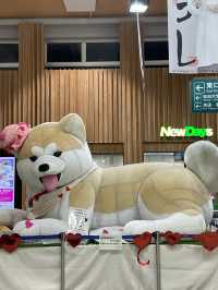 일본 아키타현에서