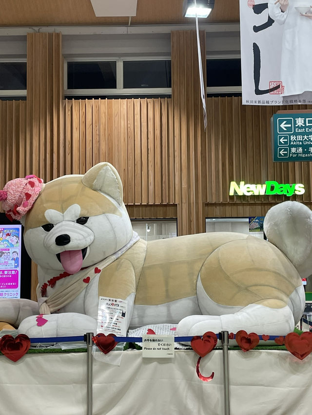 일본 아키타현에서