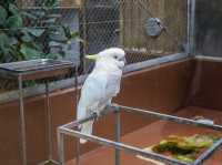 【島根県】 湖畔に広がる花と鳥のテーマパーク『松江フォーゲルパーク』🦉