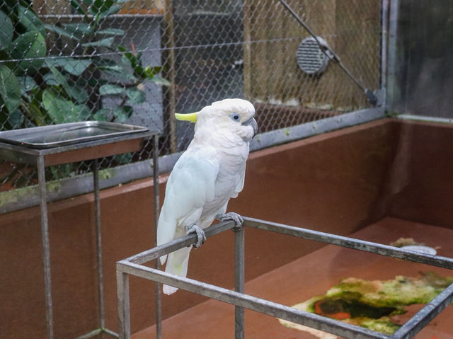 【島根県】 湖畔に広がる花と鳥のテーマパーク『松江フォーゲルパーク』🦉