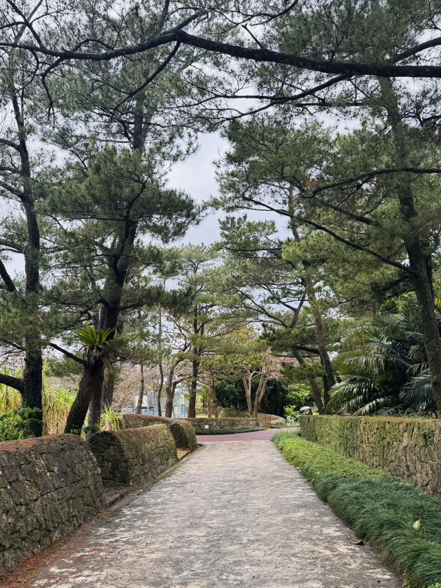 초록 정원 따라 걷는 조용한 여름 산책코스 추천
