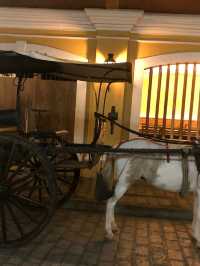 Heritage City : Vigan,  Ilocos Sur, Philippines 