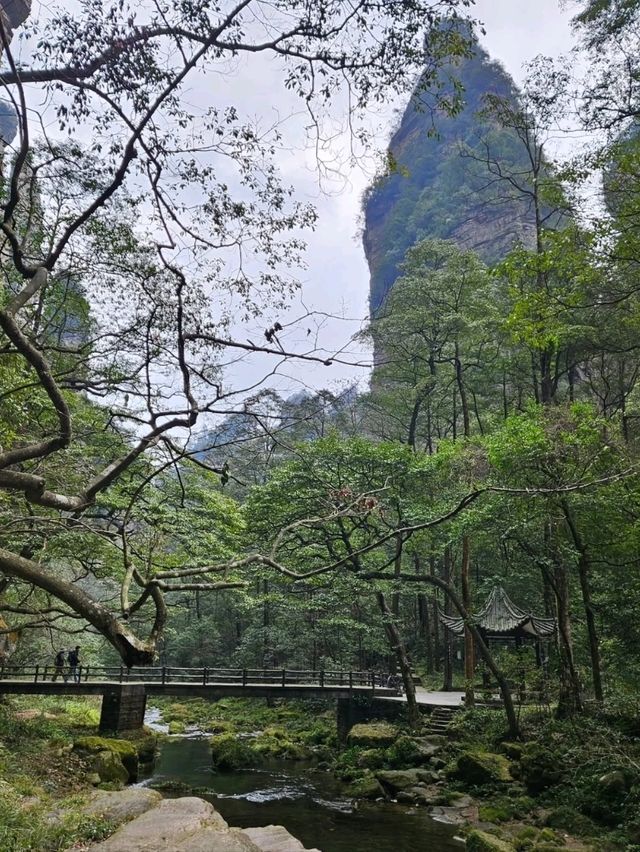 Spring Stroll Through Serenity