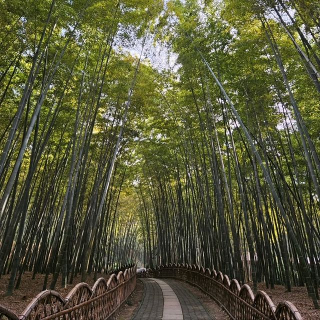 Chill Hike + Ancient Vibes = Solid Day Out