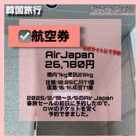 🇰🇷韓国6泊7日女子2人旅行「スケジュールと費用公開」