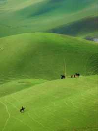 Yili: The Green Jewel of Xinjiang