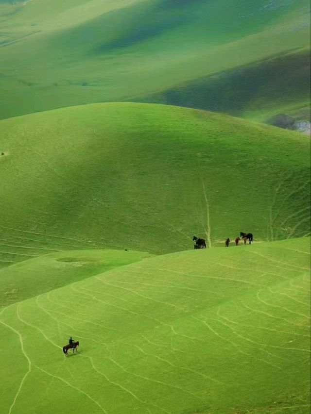 Yili: The Green Jewel of Xinjiang