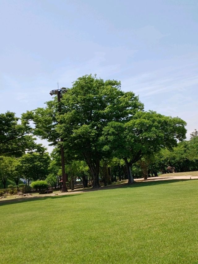 연못 위 봄을 머금은 정원, 동궁과 월지의 산책