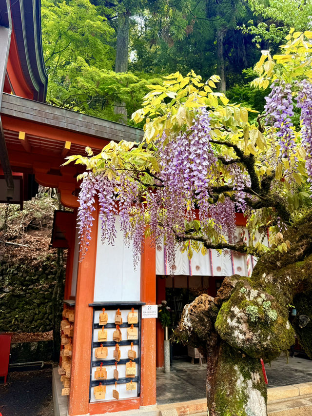京都｜天狗守護的鞍馬山 三位一體尊天信仰造就鞍馬寺的獨特