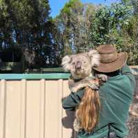 Perth | The Most Fun Activity at Caversham Wildlife Park