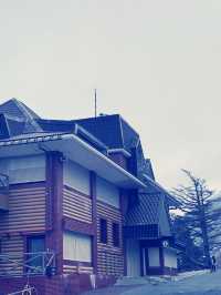 東京富士山五合目購物攻略｜山間特色伴手禮精選