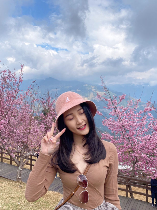 台灣小瑞士「清境農場」 🐑 綿羊互動體驗萌翻全場💕