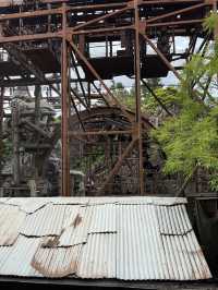 An Honest Review for DisneySea.