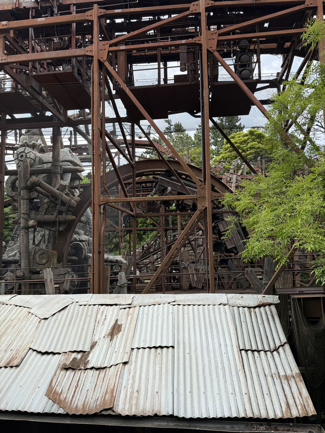 An Honest Review for DisneySea.