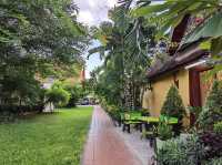 Morning Vibes in Vientiane  with great budget 