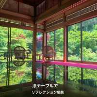 【佐賀】環境芸術の森　新緑一般公開！！森林浴でリフレッシュ💚