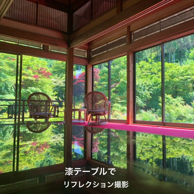 【佐賀】環境芸術の森　新緑一般公開！！森林浴でリフレッシュ💚