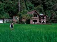 โฮมสเตย์เชียงใหม่...รอบบ้านมีนา🌾 บนฟ้ามีดาว⭐