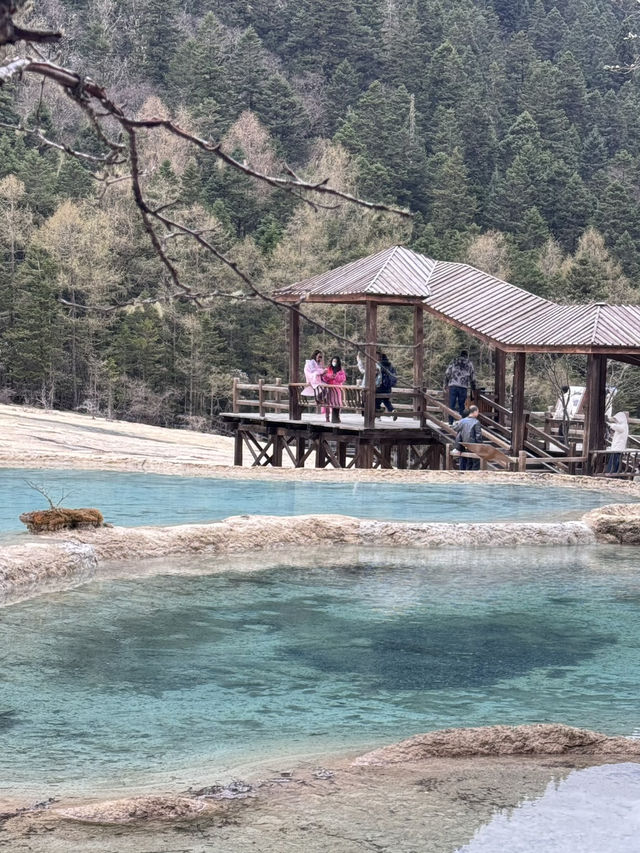  四川之旅：探索九寨溝、黃龍與四姑娘山的自然奇觀 🌄🌊