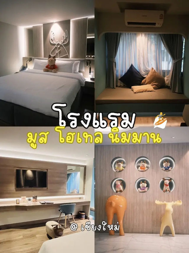 ✨มูส โฮเทล นิมมาน (Moose Hotel Nimman)