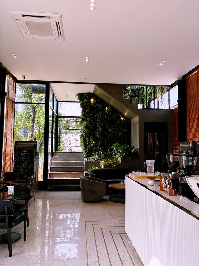 The Coffee Lounge & Forest