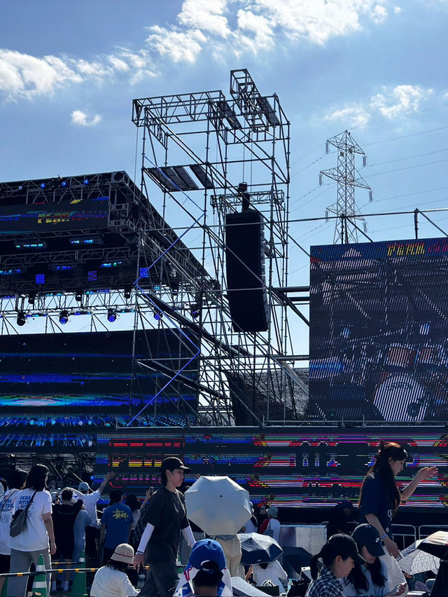 🎶 그 여름, 피크락 페스티벌에서 우리는 불타올랐다