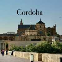 Drawn by a Bridge: Unveiling Cordoba's Moorish Legacy! 🌉🇪🇸