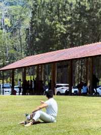 A Cool Escape: From KL Heat to Pineyard Breeze