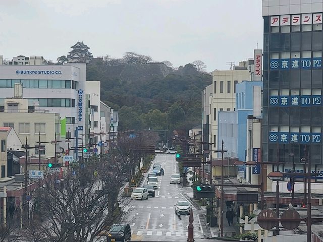도야마 스타벅스 그리고 신칸센에서 에키벤 먹으며 히코네와 교토타워까지~!