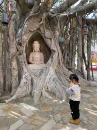 Polin Monastery | Tian Tan Buddha Hong Kong