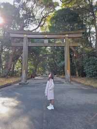 ⛩️ Peaceful Escape at Meiji Jingu ⛩️