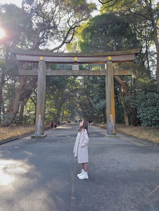 ⛩️ Peaceful Escape at Meiji Jingu ⛩️