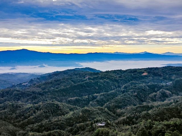 🌲【高黎貢山 · 穿越雲端的原始之境】