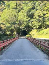 💧幻想的な光と自然が織りなす奇跡「濃溝の滝」で心洗われる旅