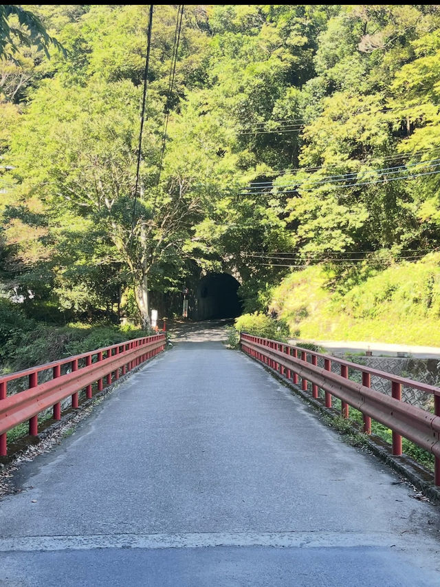 💧幻想的な光と自然が織りなす奇跡「濃溝の滝」で心洗われる旅