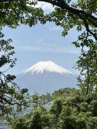 Mr.Fuji @Fujiyoshida 🇯🇵 