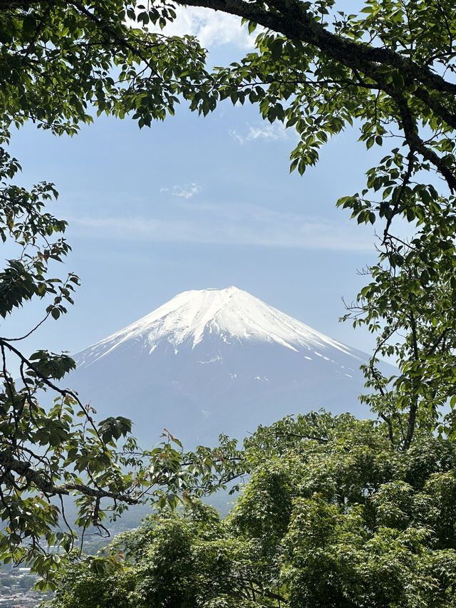 Mr.Fuji @Fujiyoshida 🇯🇵 