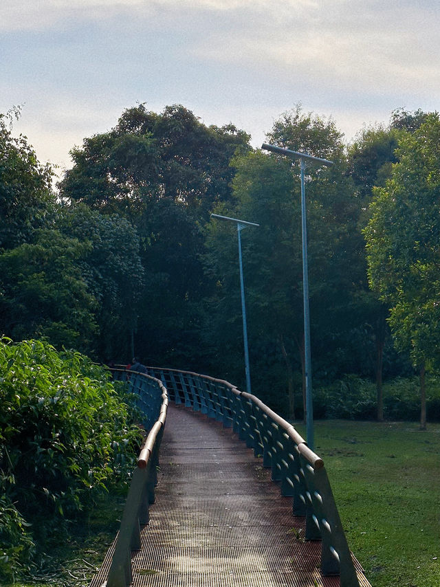 Cardio Cancelled, Healing Activated : Taman Tasik Cyberjaya