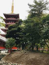 【東京　浅草寺と伝法院庭園、にぎわう寺町を歩く】