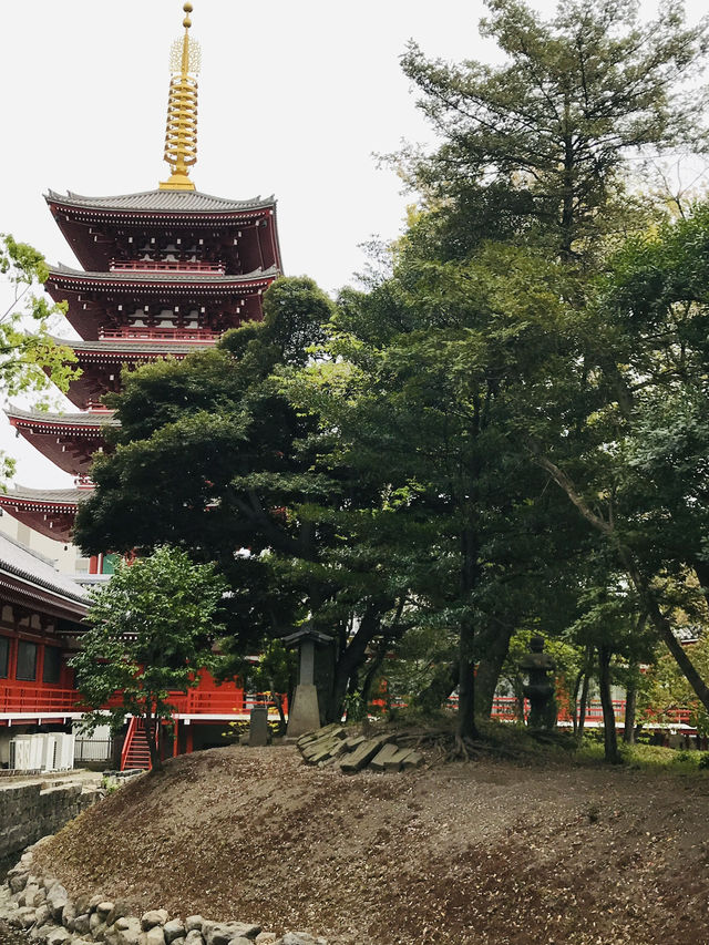 【東京　浅草寺と伝法院庭園、にぎわう寺町を歩く】