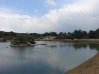 🌿 Tranquil Beauty at Okayama Korakuen Garden
