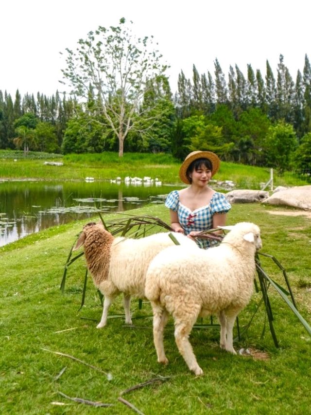 Bucolic Khaoyai