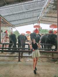 Quick Stop at Ayutthaya – Elephant Encounter 🐘🇹🇭
