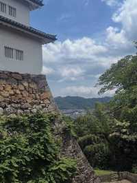 【国宝・彦根城でタイムスリップ体験🏯】ひこにゃんにも会えるかも⁉️