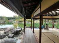 Peace & Pines at Ritsurin Garden