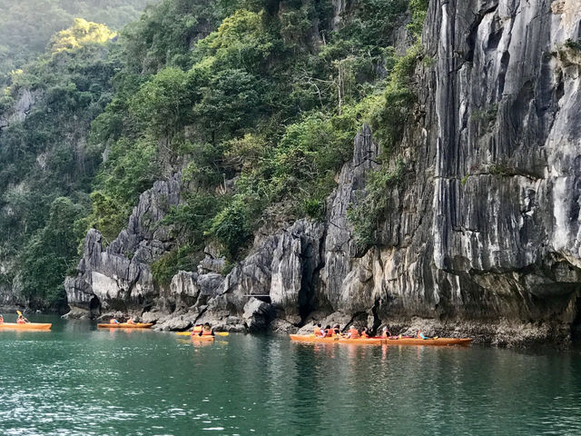 🚢 1-Night Ha Long Bay Cruise: A Journey Through Vietnam’s Dreamscape 🌅🇻🇳