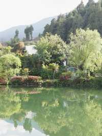 Discover the Colorful Charm of Butterfly Park – A Hidden Gem in Yunnan
